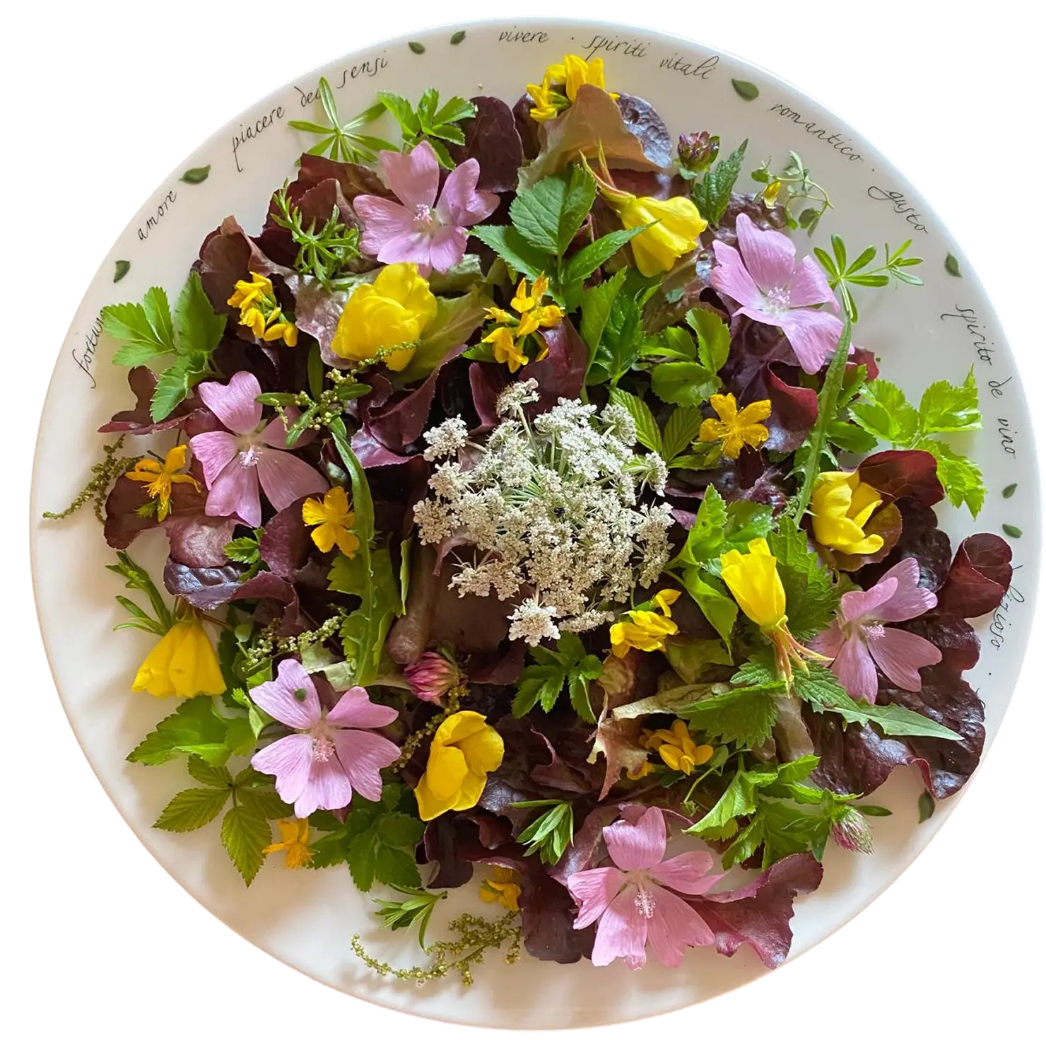 Wildkräuter-Blütensalat aus dem Münsterland